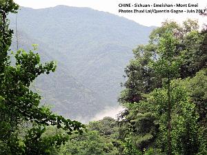 Emeishan 054